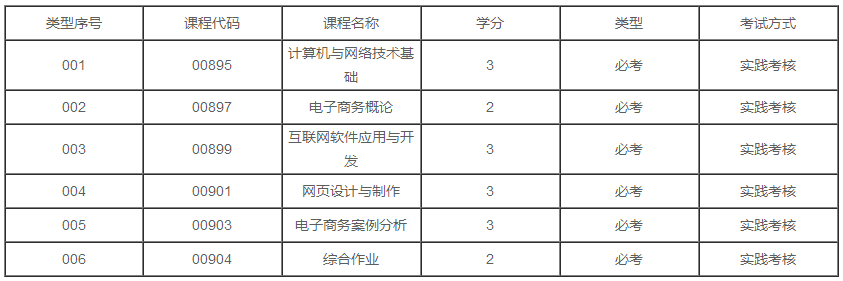 广东2020年自学考试电子商务专业专科有几门实践课？